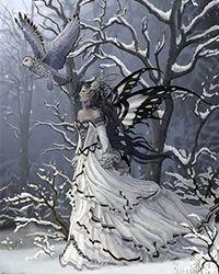 离婚后调莫雨